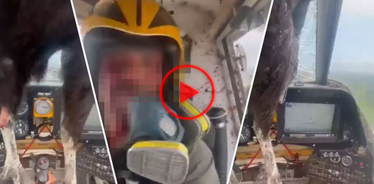Bleeding pilot lands plane safely after bird strike, video goes viral