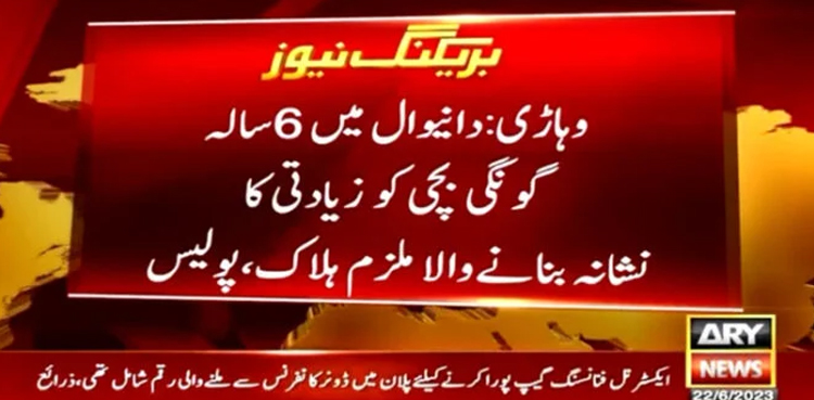 Suspect in mute girl rape case killed in police custody