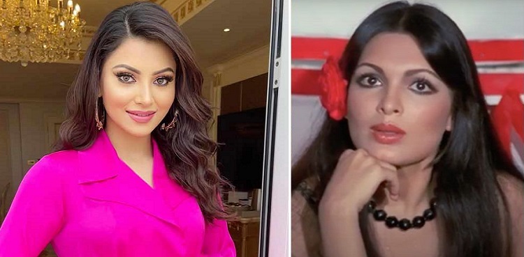 Urvashi Rautela dubbed a 'liar'! What is truth behind Parveen Babi biopic?