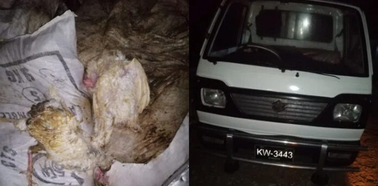 Karachi police foil attempt to smuggle dead chickens