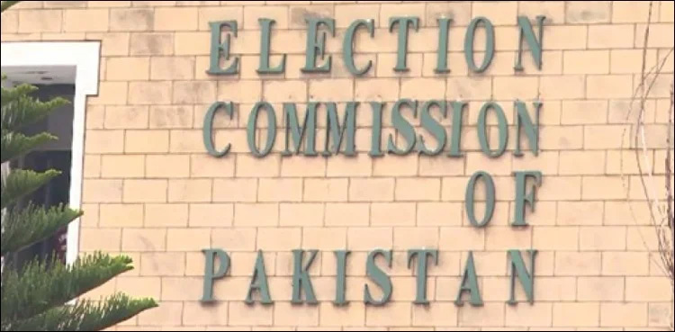 ECP's website faces cyber attack, security alert issued
