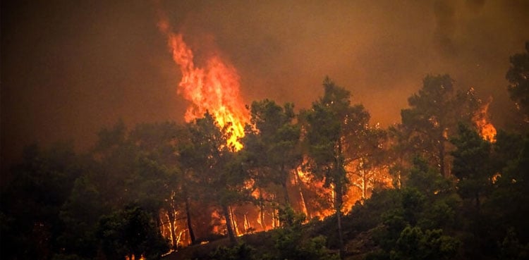 Greek summer wildfires will burn over 150,000 hectares: PM