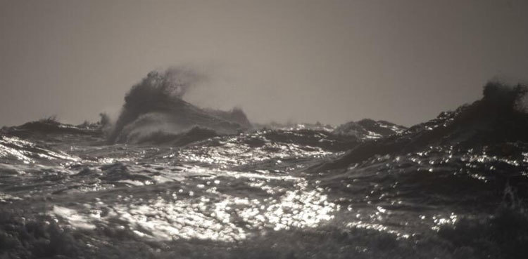 N. Atlantic ocean temperature sets record high: US agency