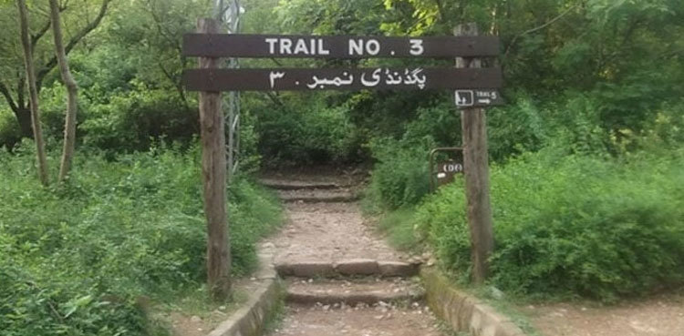 Margalla Hills rape case: Dr Sidra confesses to levelling false allegations