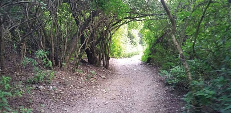 Woman allegedly raped at Margalla Hills’ hiking trail in Islamabad