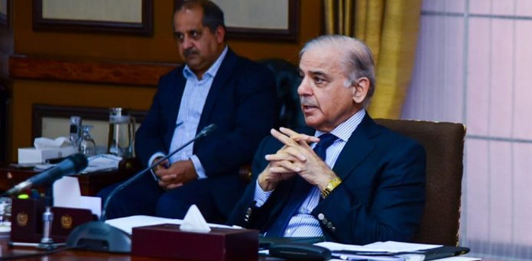 PM Shehbaz seeks comprehensive strategy for increase in IT exports
