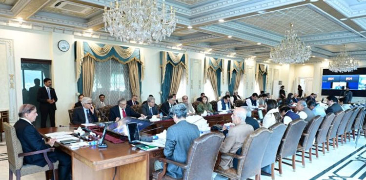 PM Shehbaz Sharif 'consults' cabinet members on constitutional tweaks