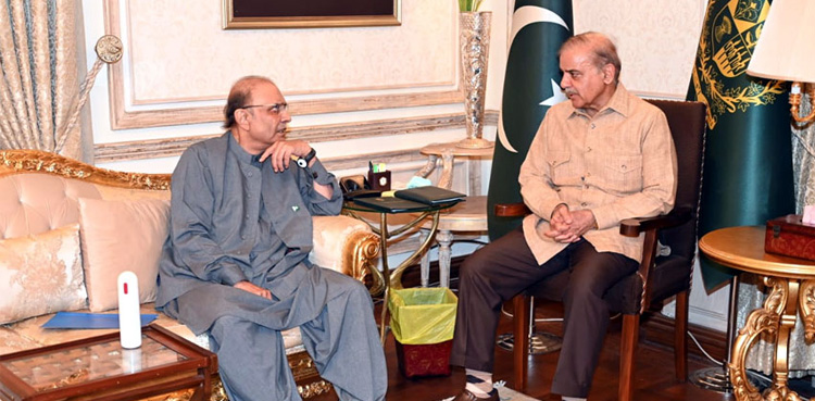 Asif Zardari calls on PM Shehbaz to discuss country’s political situation