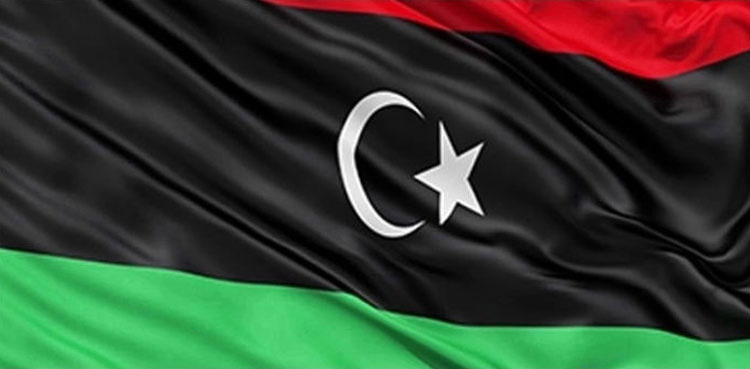 PPP unhappy with PM Shehbaz over announcement of elections on 2023 census