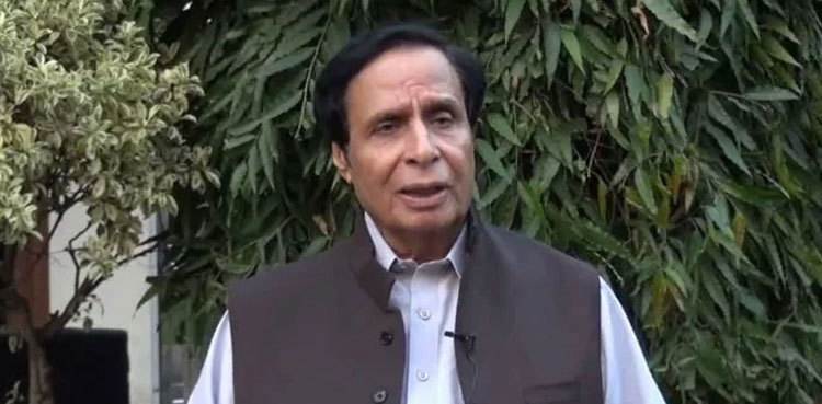 Pervaiz Elahi granted bail in suspicious transactions case