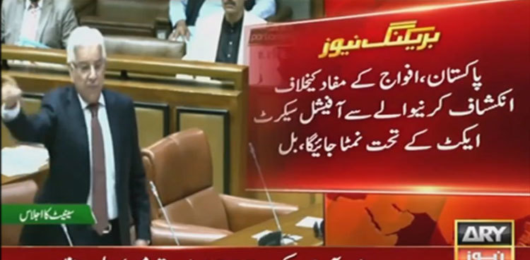 Senate passes Army Act amendment bill