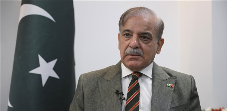 PTI chairman’s corruption cause of economic malaise: PM Shehbaz