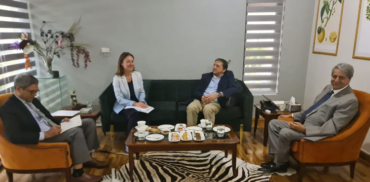 IMF officials meet PPP’s economic team on bailout deal