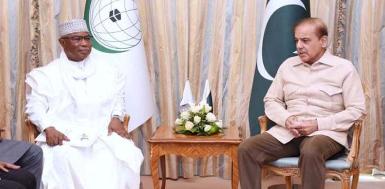 PM Shehbaz urges OIC to chalk out strategy for legal deterrence against Islamophobia