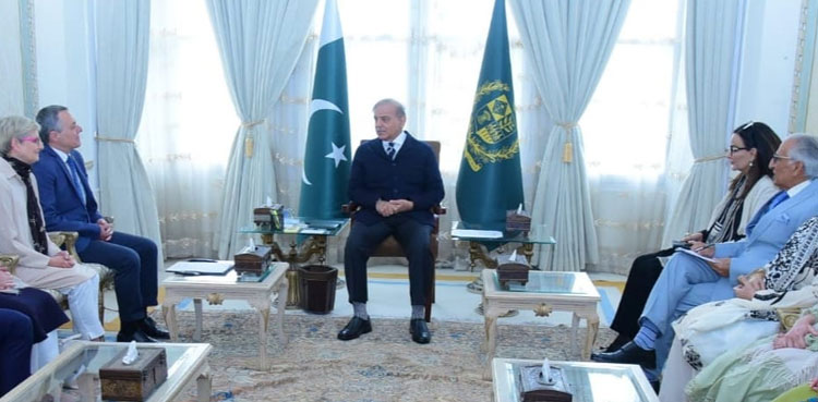 PM Shehbaz invites Swiss companies to invest in Pakistan