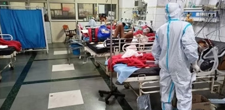 'Dead lizard' found in hospital meal served to patients