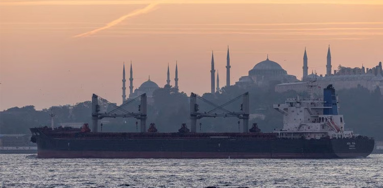 Russian, Turkish ministers talk after Turkey sends Ukrainian commanders home