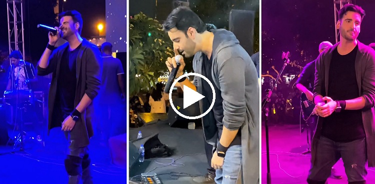 WATCH: Aagha Ali serenades the audience at live concert