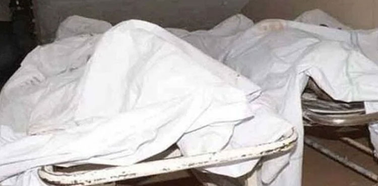 Mother, son stabbed to death in Rawalpindi