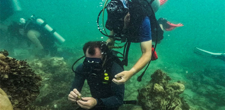 Ocean temperatures hit hot-tub levels