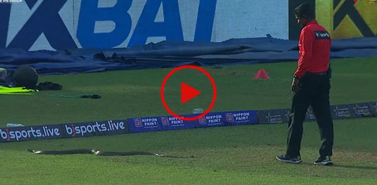LPL 2023: Snake interrupts Dambulla-Galle match, video goes viral