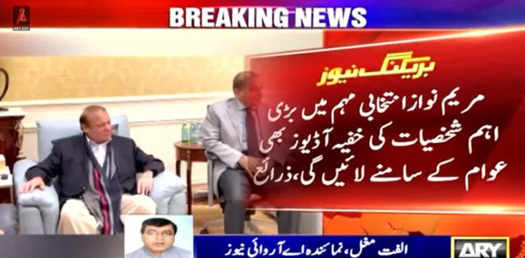 Maryam Nawaz to release secret audio tapes during election campaign: sources