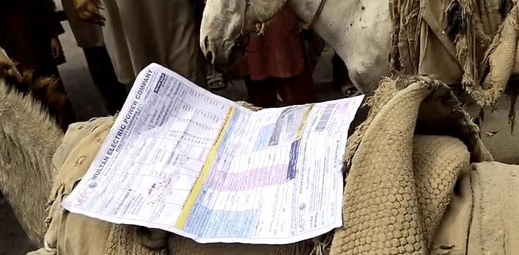 LHC moved for withdrawal of taxes on electricity bills