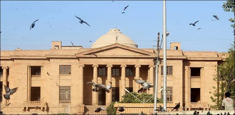 Mustafa Amir murder: SHC approves plea for remand of accused
