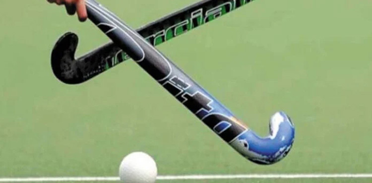 PM Shehbaz Sharif orders inquiry into PHF matters