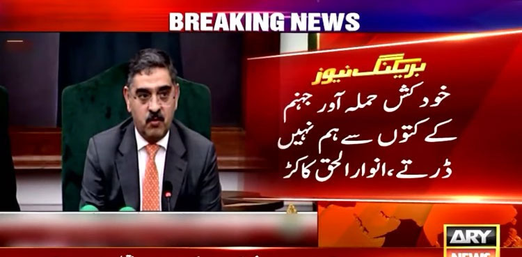 PM Kakar says Pakistan won't surrender to extremism, radicalization