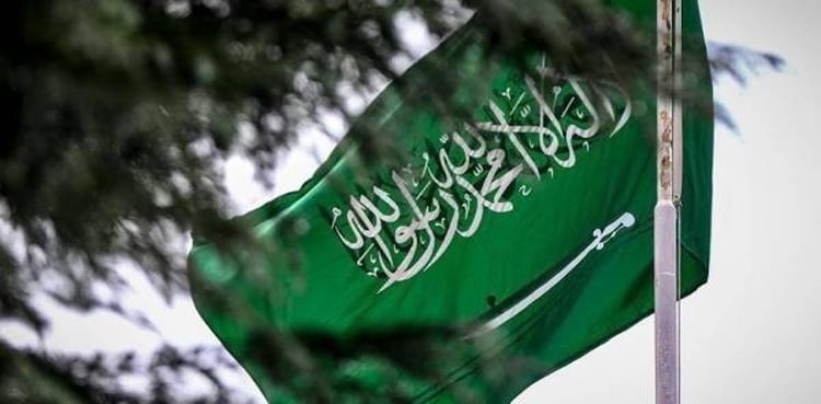 Saudi Arabia arrests 15,245 illegals in one week