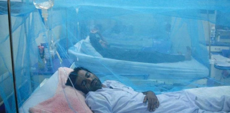 Malaria cases surge in Sindh