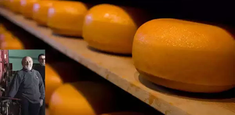 Man crushed to death under 25,000 falling cheese wheels