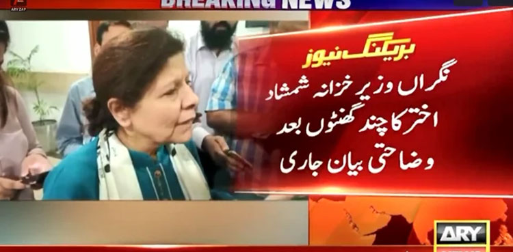 Shamshad Akhtar clarifies comment about quitting job