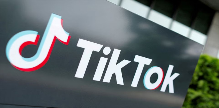 TikTok fights for survival in US, appeals to top court over looming ban