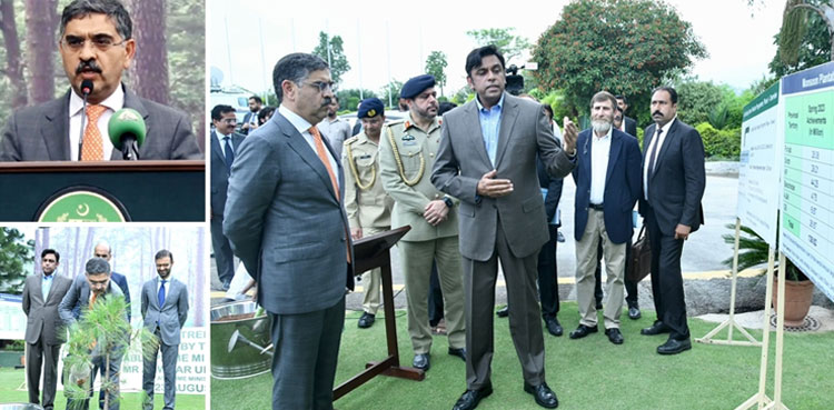 Caretaker PM launches countrywide monsoon plantation drive