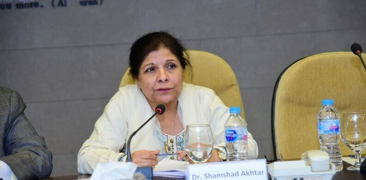 Caretaker finance minister rules out ‘more subsidies’ in IMF agreements