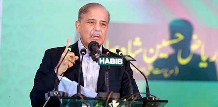Pakistan needs peace, unity to achieve progress: PM Shehbaz
