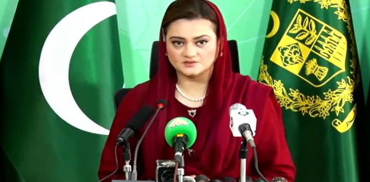 Punjab fixes 30 air quality monitors, says Marriyum Aurangzeb