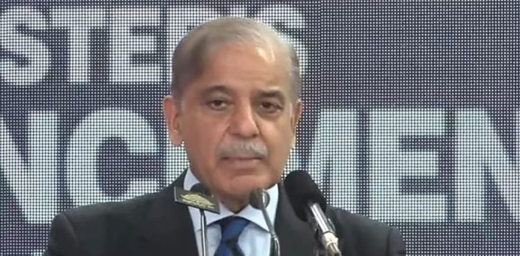 PML-N prioritised state over politics: Shehbaz