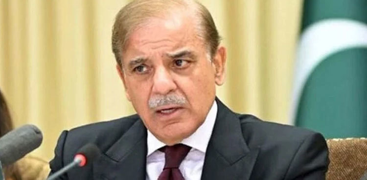 PM Shehbaz irked by President Alvi’s letter seeking caretaker PM’s name