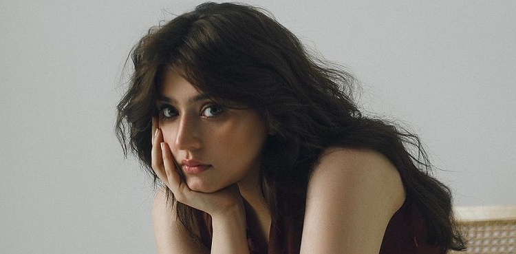 Dur-e-Fishan Saleem drops jaws with her glam look: See pictures