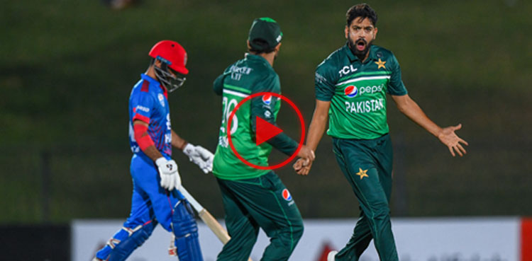 Watch: Haris Rauf's five-wicket haul against Afghanistan in first ODI