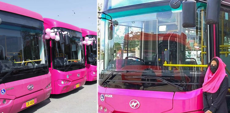 Sindh to hire female drivers for pink buses