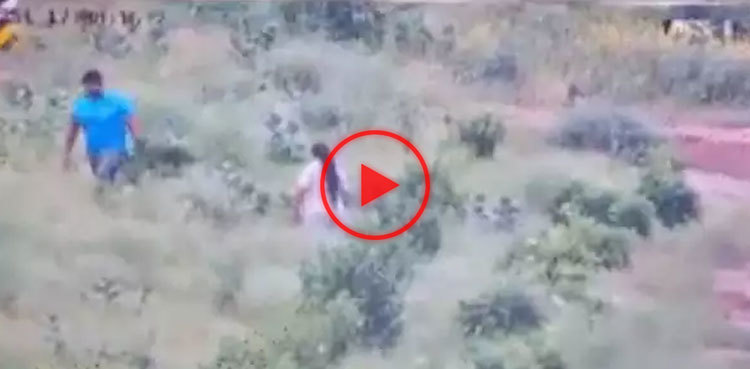 Couple steals plants from expressway, video goes viral