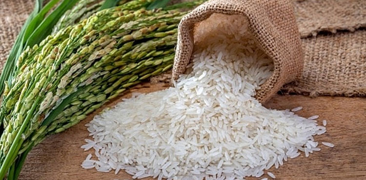 Rice exporters demand higher prices after Indian ban