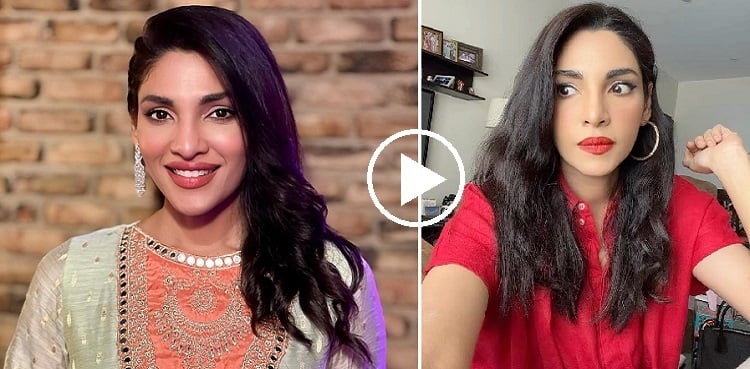 Zhalay Sarhadi's funny reel goes viral