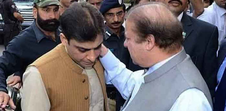 Hamza skips London visit to start preparations for Nawaz Sharif’s welcome