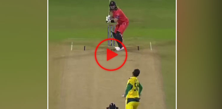 Watch: Mitchell Starc hat-trick against Netherlands in World Cup 2023 warmup