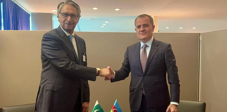 Pakistan, Azerbaijan FMs discuss Islamophobia, climate change challenges